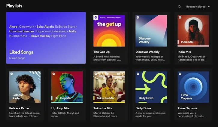 Spotify Premium APK 14 Audio personalization