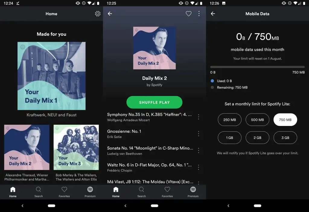 Spotify Premium APK 33 Spotify Lite