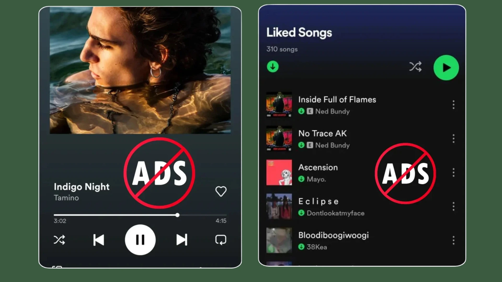 Spotify Premium APK 19 Spotify no ads