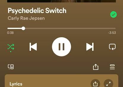 Spotify Premium APK 20 spotifyjump e1786280516556